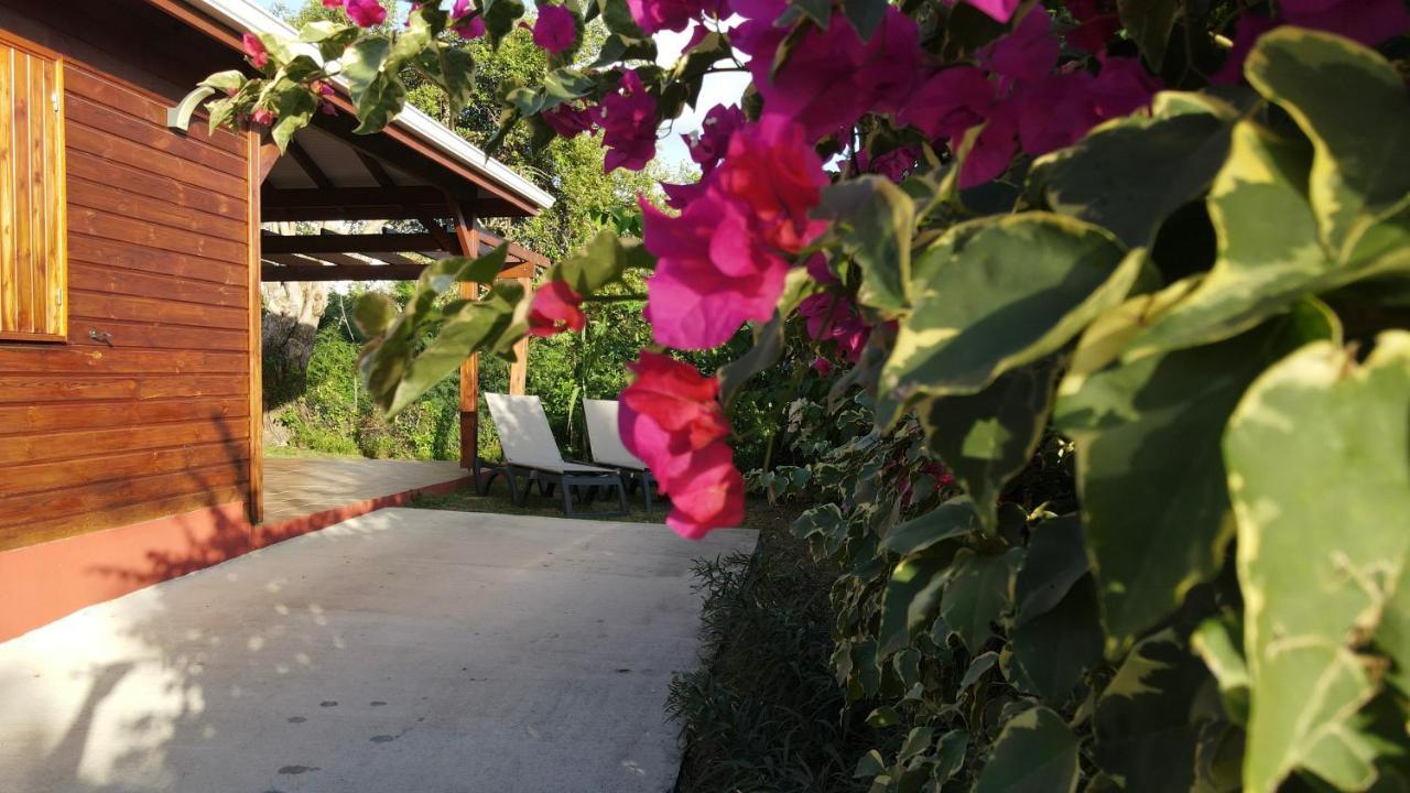 Kalypso - Les Villas Kikko Saint-Francois  Exterior photo